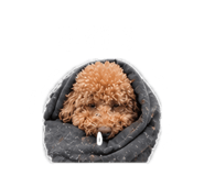 844969213