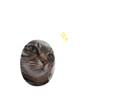 844969220