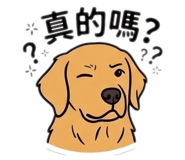 844969415