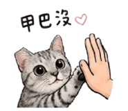 844969615