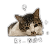 844969775