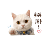 844970334