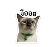 844971323