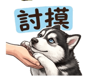 844972062