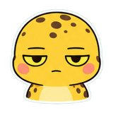 844972305