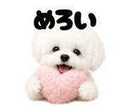 844974597