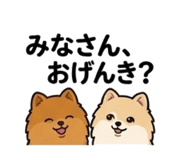 844975207