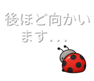 844975822