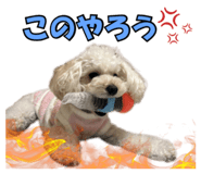 844976543