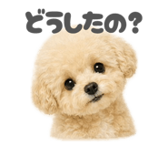 844976617
