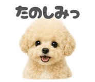 844976619