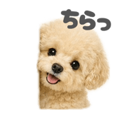 844976624