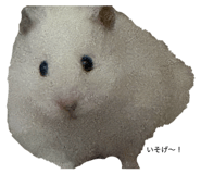 844976665
