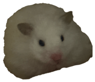 844976667