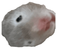 844976668
