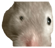 844976672