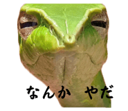 844978313