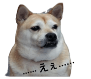 844978318