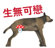 844979009