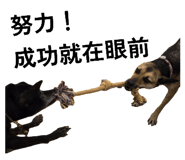 844979011