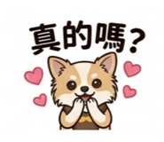 844979146