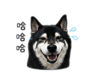 844979374
