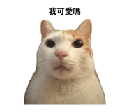 844979595