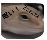 844981074