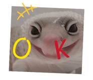 844981081
