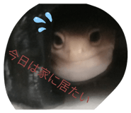 844981082