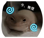 844981084
