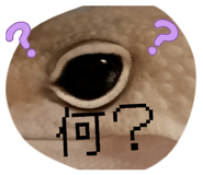 844981088