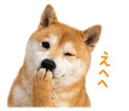844981092