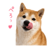 844981095