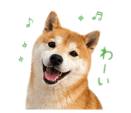 844981097