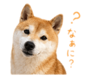 844981101