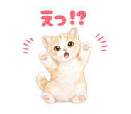 844981119