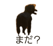 844981556