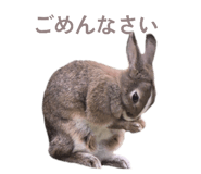 844981560
