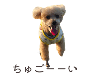 844981573