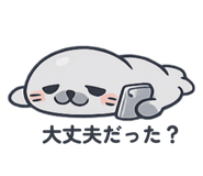 844981608