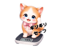 844981935