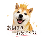 844982241