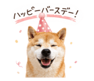 844982245