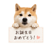 844982251