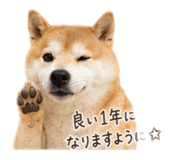 844982256