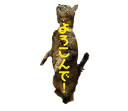 844982388
