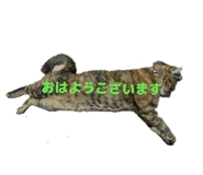 844982389
