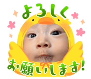 844982590