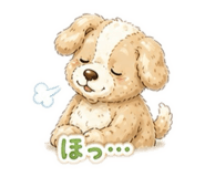 844982644
